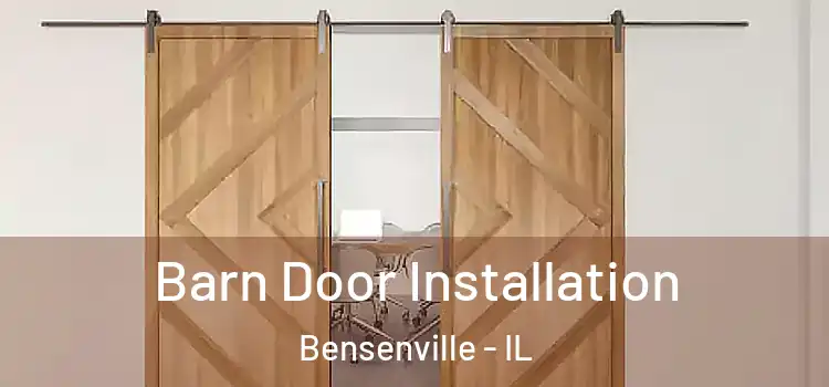 Barn Door Installation Bensenville - IL