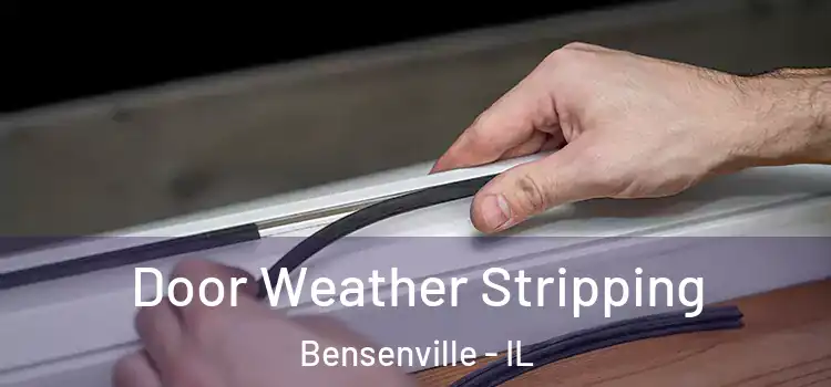 Door Weather Stripping Bensenville - IL