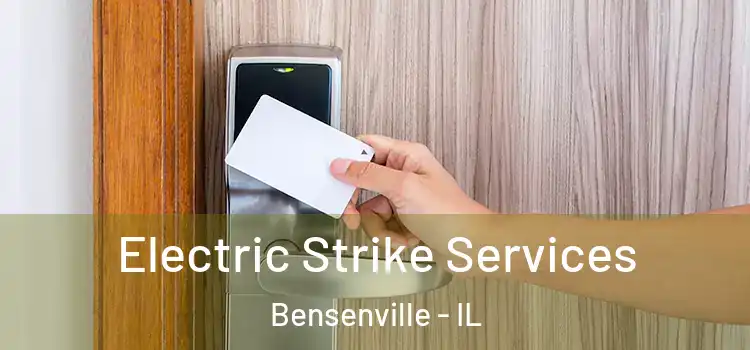 Electric Strike Services Bensenville - IL