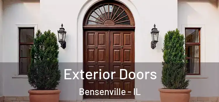 Exterior Doors Bensenville - IL