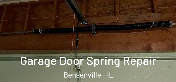  Garage Door Spring Repair Bensenville - IL