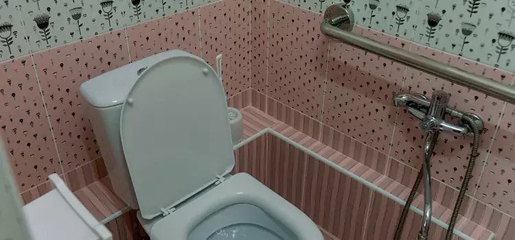 Meeting Diverse Needs With Accessible Restroom Solutions in Bensenville, IL