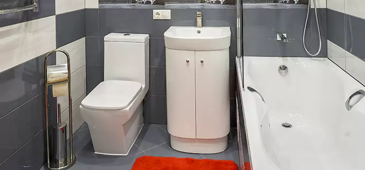 Hansgrohe Shaving Mirror Bensenville