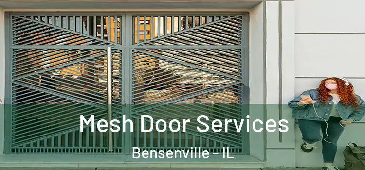 Mesh Door Services Bensenville - IL
