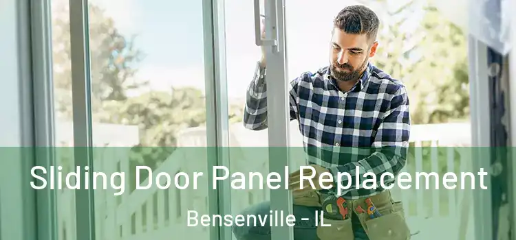  Sliding Door Panel Replacement Bensenville - IL