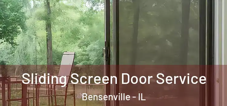 Sliding Screen Door Service Bensenville - IL